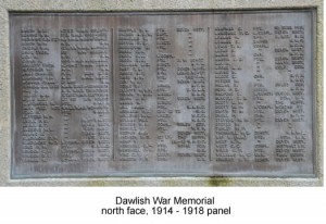 North face 1914-1918 panel